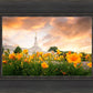 Detroit Flowers