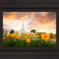 Detroit Flowers
