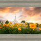 Detroit Flowers