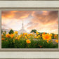 Detroit Flowers