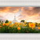 Detroit Flowers