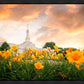 Detroit Flowers