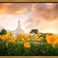 Detroit Flowers