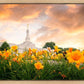 Detroit Flowers