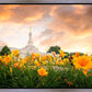 Detroit Flowers