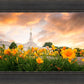 Detroit Flowers
