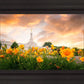 Detroit Flowers