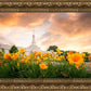 Detroit Flowers