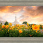 Detroit Flowers