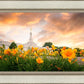 Detroit Flowers