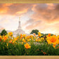 Detroit Flowers