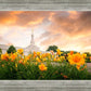 Detroit Flowers