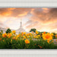 Detroit Flowers