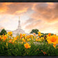 Detroit Flowers