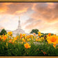 Detroit Flowers