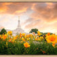 Detroit Flowers