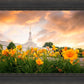 Detroit Flowers