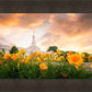Detroit Flowers