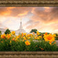 Detroit Flowers