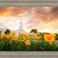 Detroit Flowers