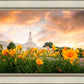 Detroit Flowers