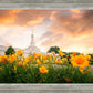 Detroit Flowers