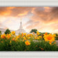 Detroit Flowers