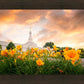 Detroit Flowers