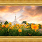 Detroit Flowers