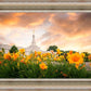 Detroit Flowers