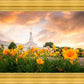 Detroit Flowers
