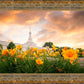 Detroit Flowers