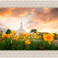 Detroit Flowers