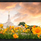 Detroit Flowers