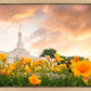 Detroit Flowers