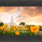 Detroit Flowers