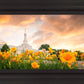 Detroit Flowers