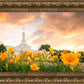 Detroit Flowers