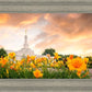 Detroit Flowers