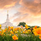 Detroit Flowers