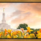 Detroit Flowers