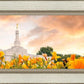 Detroit Flowers
