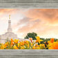 Detroit Flowers
