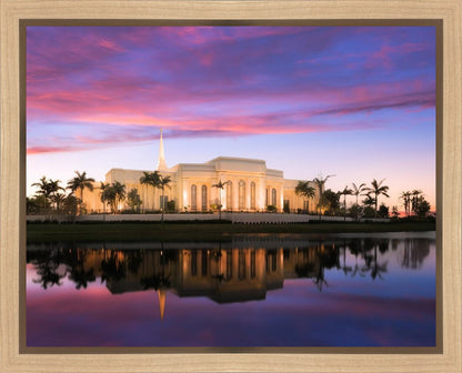 Fort Lauderdale Pink Sunrise