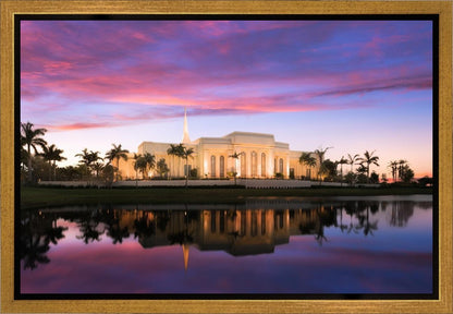 Fort Lauderdale Pink Sunrise