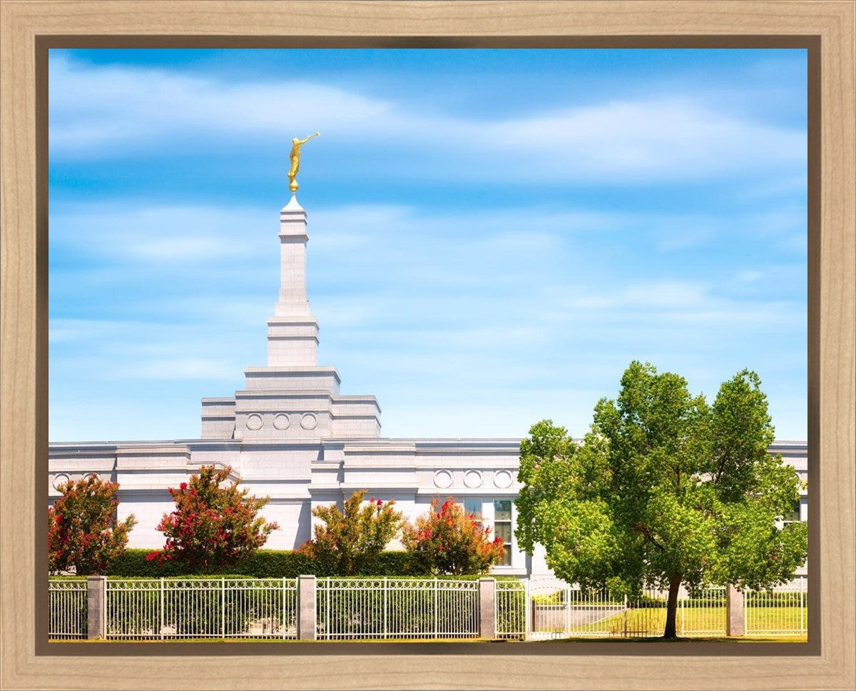 Fresno Day Panorama