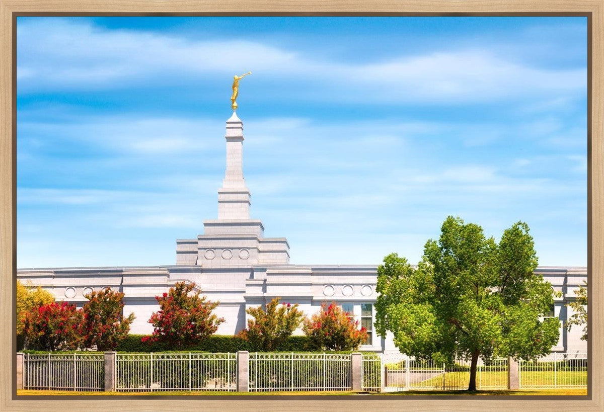 Fresno Day Panorama