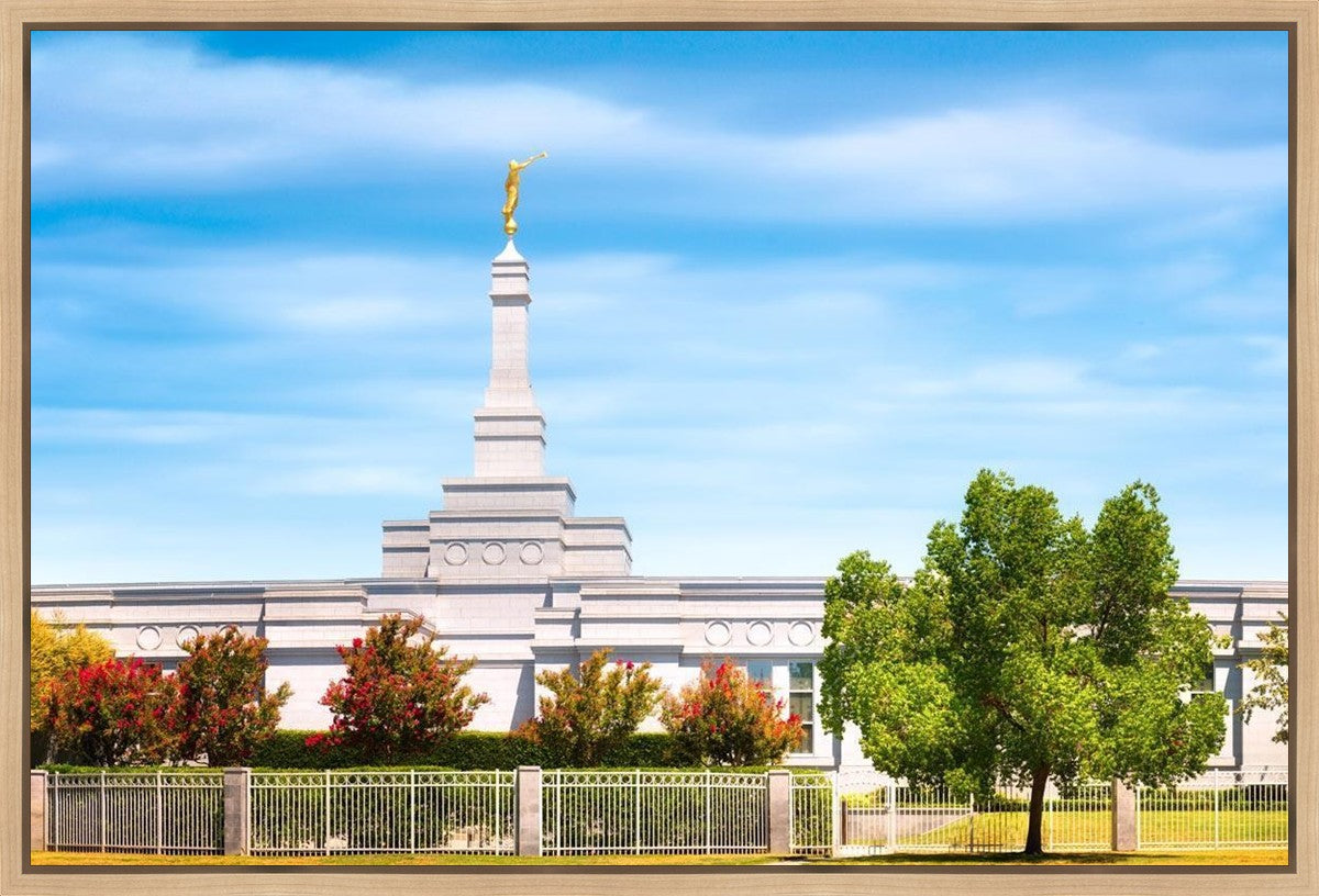 Fresno Day Panorama