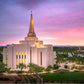 Gilbert Pink Sunrise