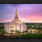Gilbert Pink Sunrise